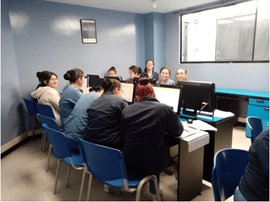 Programa técnico laboral